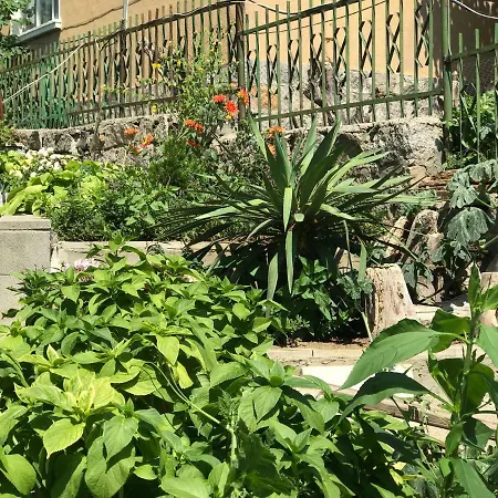 Kavakka 게스트하우스 *